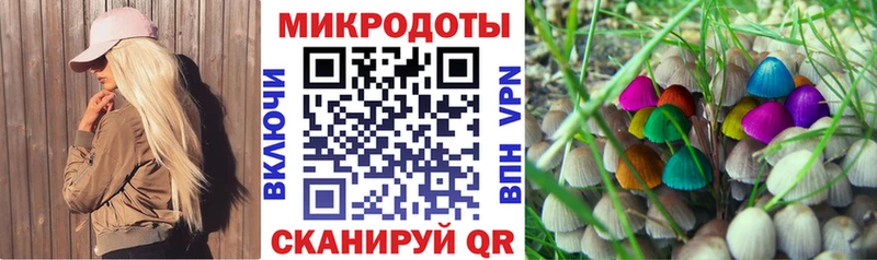 Купить закладки  Южно-Сухокумск  Псилоцибиновые грибы прущие грибы 